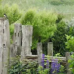 't Staartstuk, In Natuurgebied En Vlakbij Het Apartment