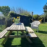 't Staartstuk, In Natuurgebied En Vlakbij Het Apartment