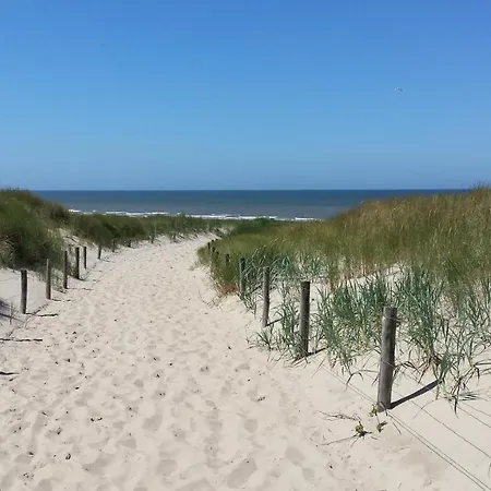 't Staartstuk, In Natuurgebied En Vlakbij Het Apartment