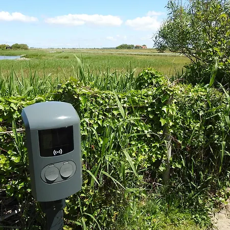 't Staartstuk, In Natuurgebied En Vlakbij Het * Callantsoog