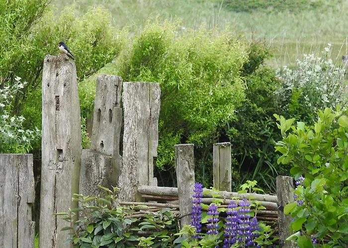 't Staartstuk, In Natuurgebied En Vlakbij Het Apartment
