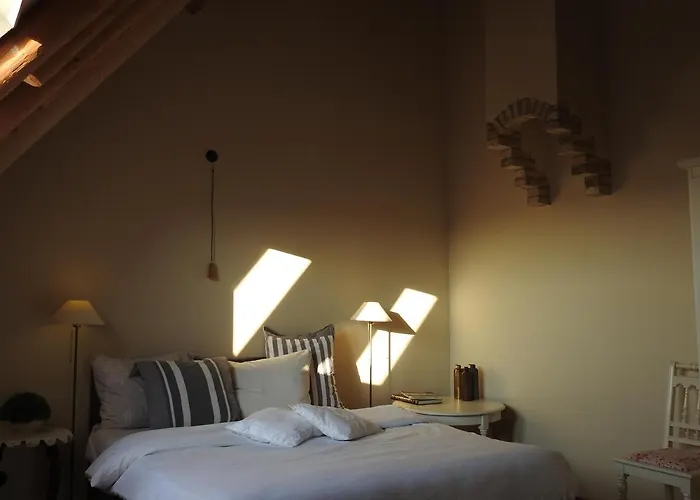 't Staartstuk, In Natuurgebied En Vlakbij Het * Callantsoog