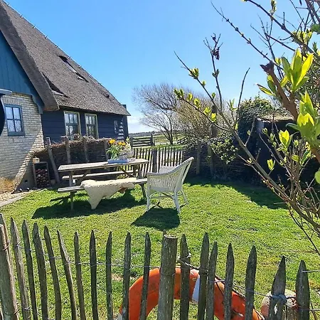 't Staartstuk, In Natuurgebied En Vlakbij Het Apartman